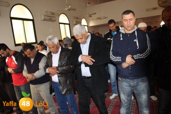 jarhoshuy msajed 0110 (9).JPG